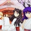 ANIPLEX OF AMERICA Fate/Stay Night Heaven's Feel III. Spring Song Special Illustration B2 Wall Scroll
