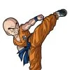 Krillin Dragon Ball Super FiGPiN